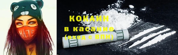 амф Липки