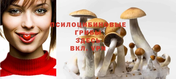 амф Липки