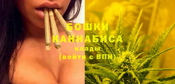 амф Липки