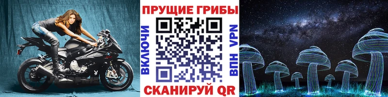 наркотики  Муром  Галлюциногенные грибы MAGIC MUSHROOMS 