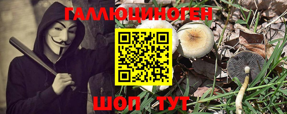 Галлюциногенные грибы MAGIC MUSHROOMS  Вход с VPN  Муром  Псилоцибиновые грибы Psilocybine cubensis 