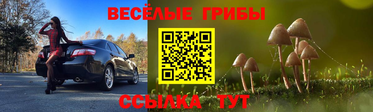Псилоцибиновые грибы Psilocybine cubensis Муром